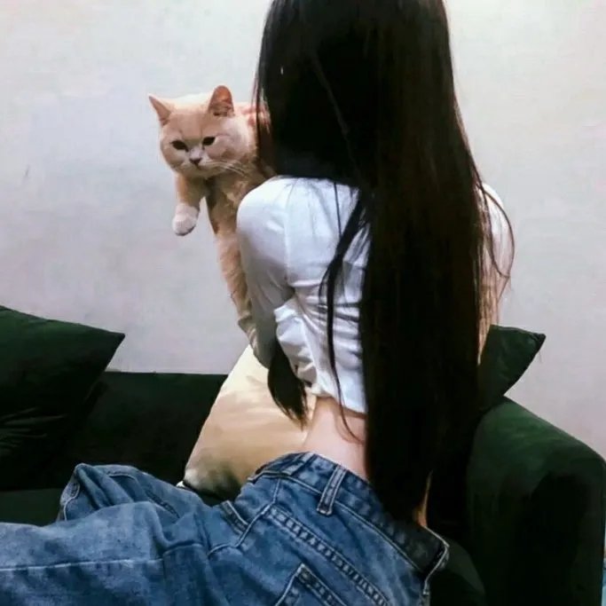 你的请求